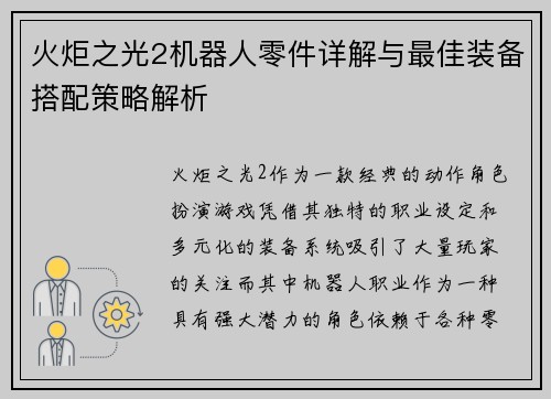 火炬之光2机器人零件详解与最佳装备搭配策略解析